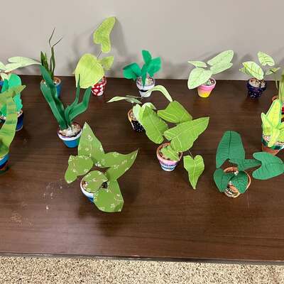 Year #4 we focus on Art and made paper houseplants thinking 3 dimensionally.
